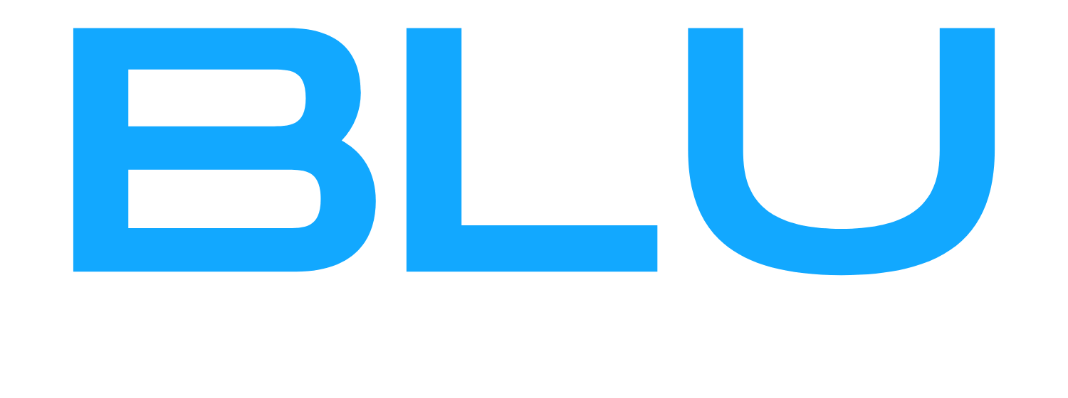 Blu Web Design Logo